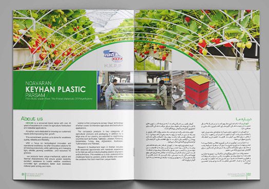 طراحی کاتالوگ چاپی|بسی گرافیک